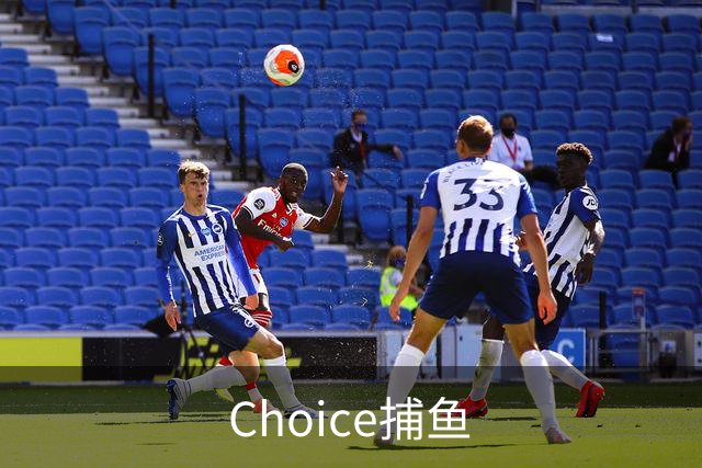 Choice捕鱼公司简介